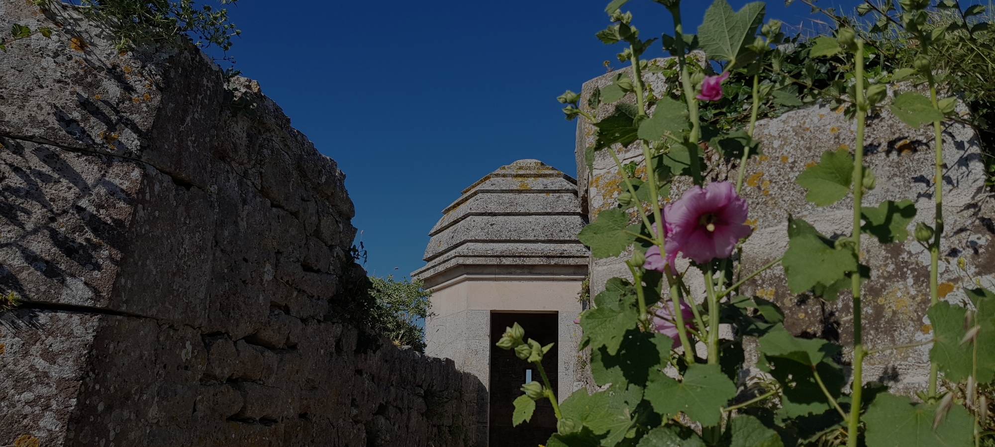 Visites guidées à la citadelle de Brouage