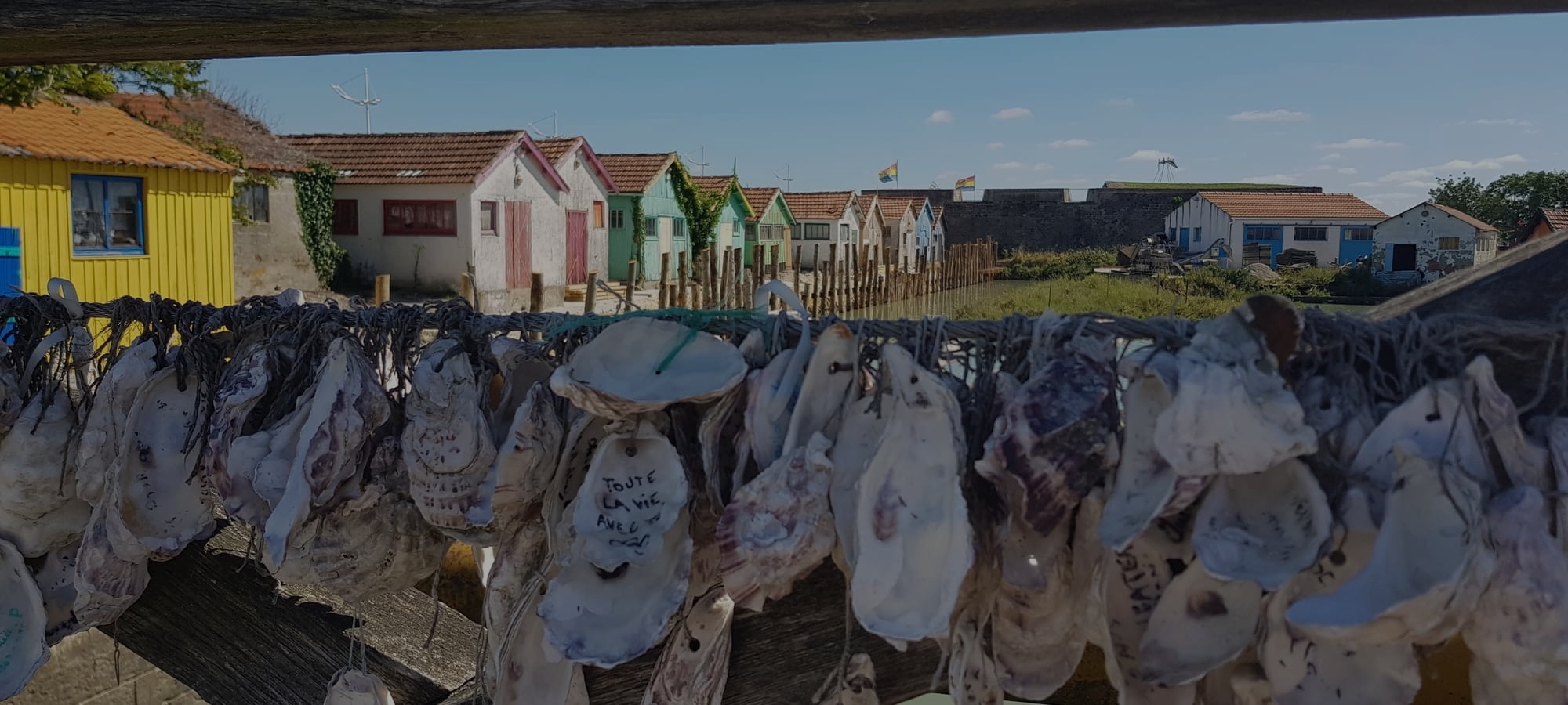 Visites guidées à Oléron